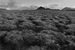 Lake Myvatn - Krafla Leirhnjukur, Iceland